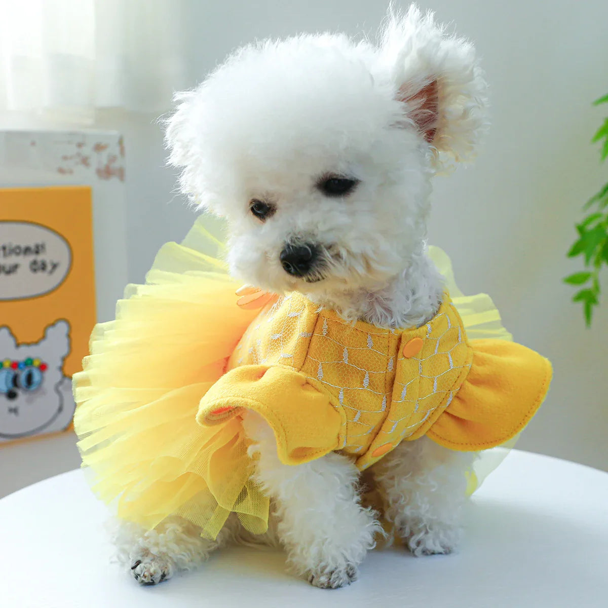 1PC Pet Apparel Dog Autumn and Winter Yellow Flying Sleeve Bow Princess Dress With Drawstring Buckle For Small Medium Dogs